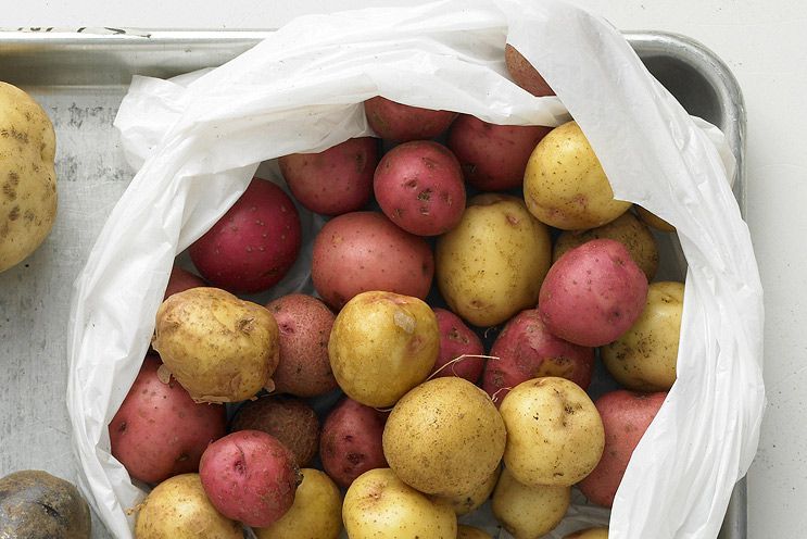 Optimal Potato Freshness: Cool, Dark, Ventilated Storage
